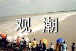 觀潮導游詞12篇