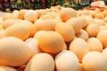夏季雞蛋保存常識