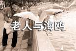 老人與海鷗讀后感集合15篇