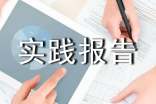 2017年思想政治理論課社會實踐報告格式