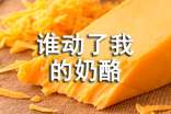 誰動了我的奶酪經典語錄